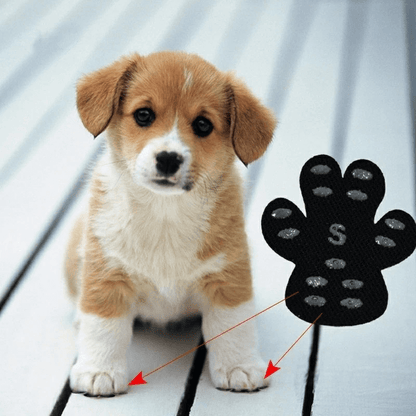 PetPro™ Elite Paw Safeguards (4 sets)
