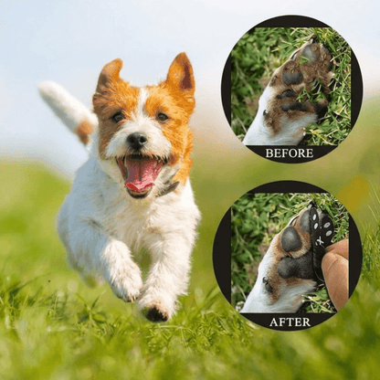 PetPro™ Elite Paw Safeguards (4 sets)