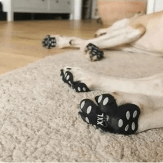 PetPro™ Elite Paw Safeguards